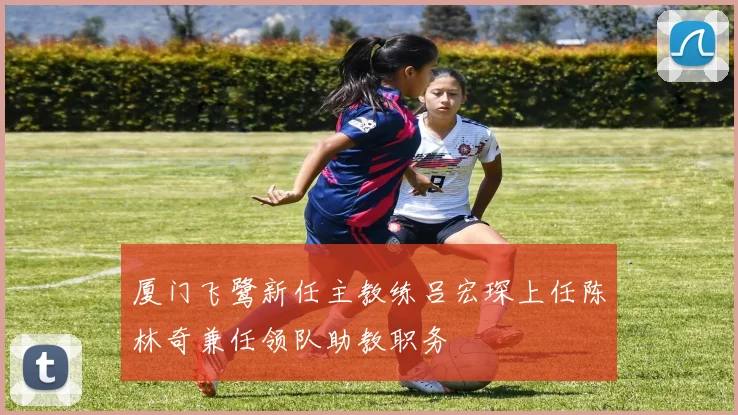 厦门飞鹭新任主教练吕宏琛上任陈林奇兼任领队助教职务