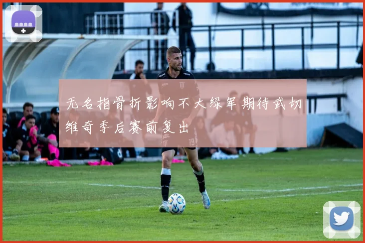 无名指骨折影响不大绿军期待武切维奇季后赛前复出