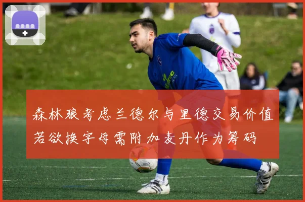 森林狼考虑兰德尔与里德交易价值若欲换字母需附加麦丹作为筹码